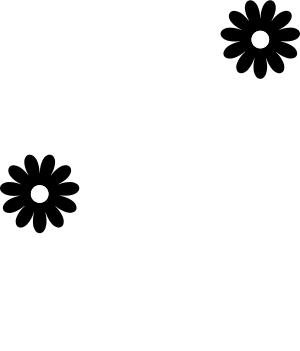 Margarita Complementos