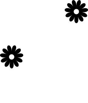 Margarita Complementos