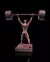 Estatueta Atleta de Fisiculturismo na internet