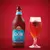 Cerveja QOM (Session IPA) Garrafa de 600ml - Queen of Mountain - comprar online