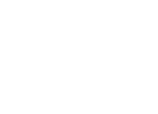 Conquest Aviation