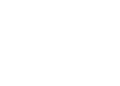Conquest Aviation