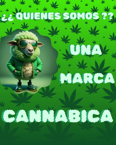 Carrusel 1