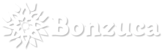 Bonzuca