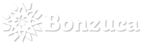 Bonzuca