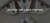 Imagem do banner rotativo CAROL STORE 