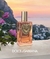 Devotion Eau de Parfum
