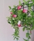 Pantalla Colgante Gilda - comprar online