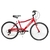 Python Neo R24 - comprar online