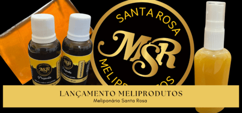 Carrossel 1
