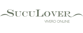 SucuLover
