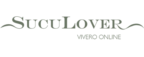 SucuLover