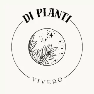 DI PLANTI