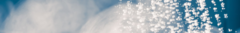 Banner de la categoría BOMBAS PRESURIZADORA 