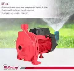 Bomba Centrífuga Motorarg BC 100 – 1 HP, 32 m, 5600 l/h | Ideal cisternas y riego en internet