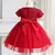 Vestido Tule e Lantejoula - loja online