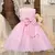 Imagem do Vestido Infantil Aplique de Flore e Laço