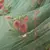 Vestido Princesa Vintage - Use Miss Moda Infantil