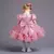 Vestidos Infantil Princesa Paete na internet