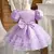 Imagem do Vestidos Infantil Princesa Paete
