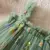 Imagem do Vestido Princesa Vintage