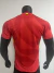 Camiseta Titular España Jugador - tienda online