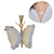 Pingente de Pedras Naturais Borboleta M - comprar online