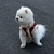 Gamulan Para Perro MARRON - comprar online