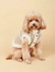 Gamulan Para Perro Beige