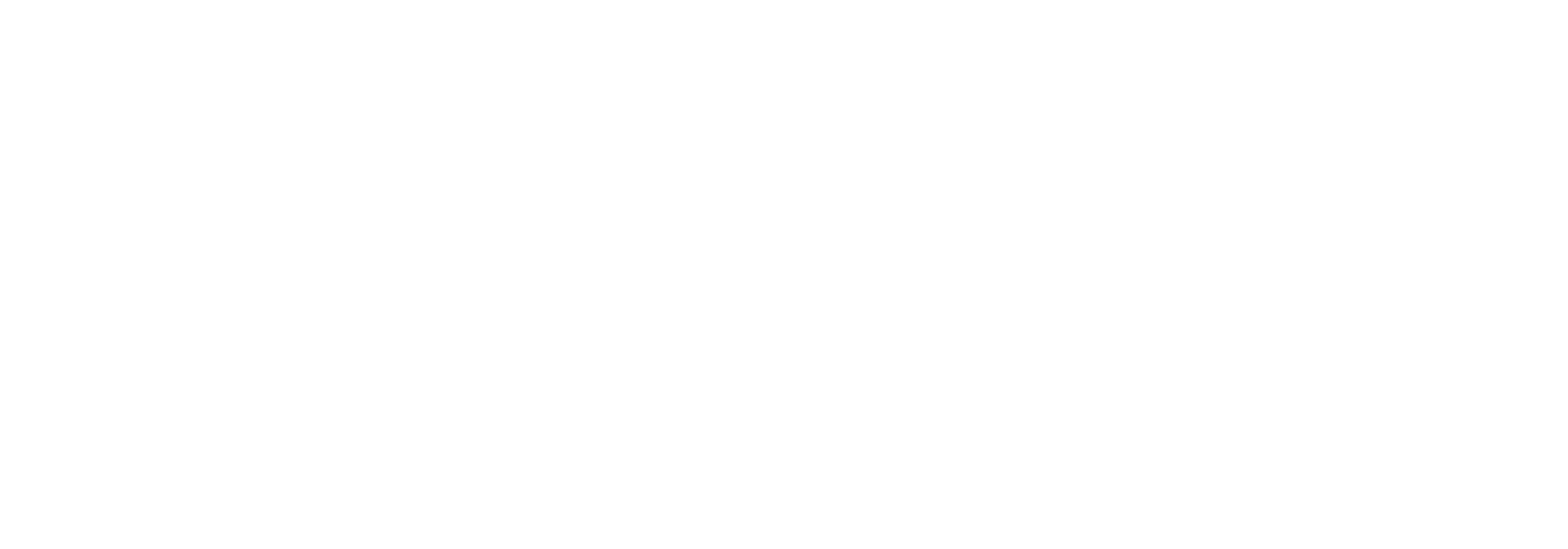 VIRTUAL PLAST