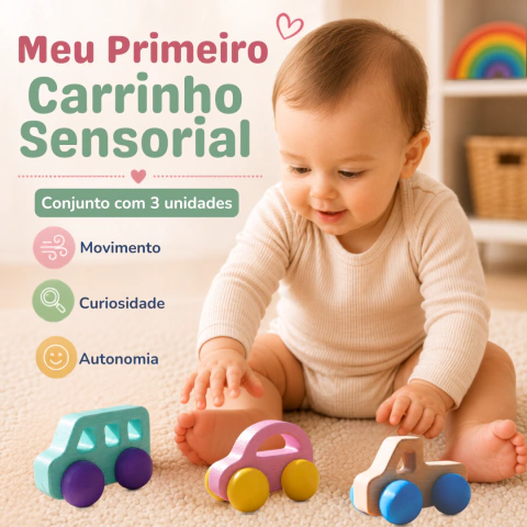 Kit - Meu Primeiro Carrinho Sensorial Montessori