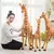 Girafa - Upa-LeLe