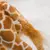 Girafa - loja online
