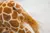 Girafa - comprar online