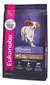 Eukanuba cachorro LAMB cordero y arroz r.mediana 15kg