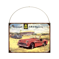 Triumph TR 3 Sports