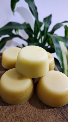 Acondicionador Sólido Nutritivo
