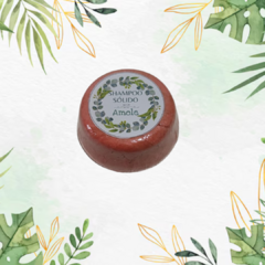 Shampoo Sólido Nutritivo - comprar online