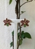 BRINCO FLOR ESMALTADO - comprar online