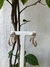 BRINCO ARGOLA TRIPLA COM ZIRCÔNIA