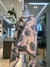 ECHARPE DE LÃ FLORAL DUPLA FACE - comprar online