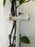 BRINCO EAR HOOK COM PÉROLA