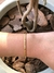 PULSEIRA CORDÃO COM CANUTILHO ACETINADO - comprar online
