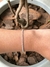 PULSEIRA RIVIERA FINA - comprar online