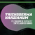 TRICHODERMA HARZIANUM 100 Gr