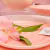 Sousplat Gaia Rosa Com Borda Dourada 19,2x2cm - comprar online