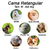 Cama Retangular para Cachorro ou Gato Luxo Preto Ossinhos na internet
