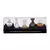 Salvador Dali Dali Legend Collection Kit 5x Miniaturas 5ml