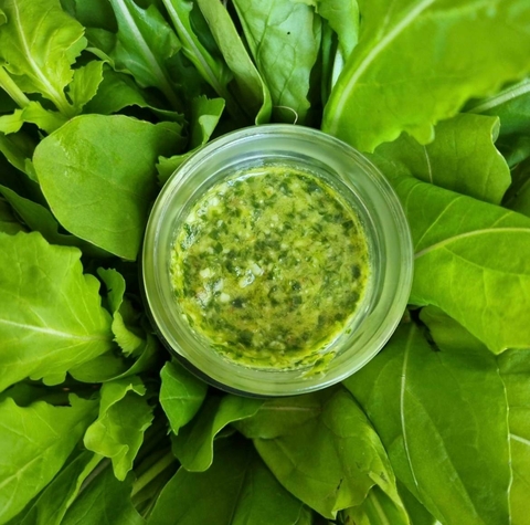 Pesto de Rúcula