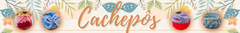 Banner da categoria Cachepôs